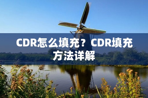 CDR怎么填充?CDR填充方法详解 CDR怎么填充?CDR填充方法详解