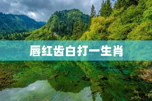 唇红齿白打一生肖