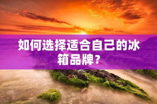 如何选择适合自己的冰箱品牌? 如何选择适合自己的冰箱品牌?