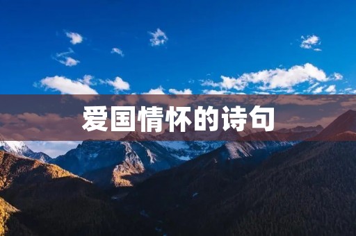 爱国情怀的诗句