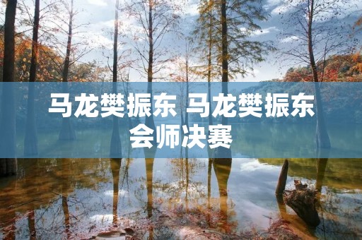 马龙樊振东 马龙樊振东会师决赛