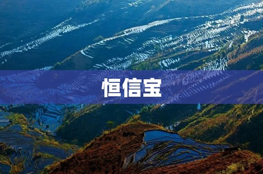 恒信宝:打造高效、安全、便捷的互联网金融服务平台 恒信宝:打造高效、安全、便捷的互联网金融服务平台