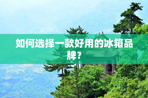 如何选择一款好用的冰箱品牌? 如何选择一款好用的冰箱品牌?