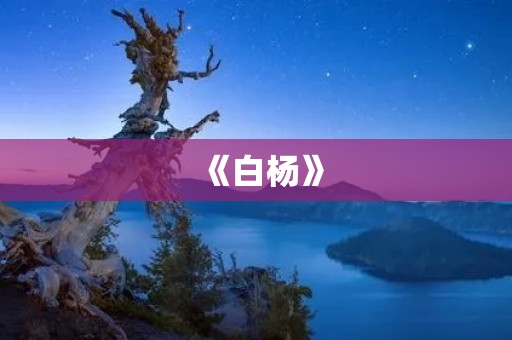 《白杨》：青春往事在树影中回荡