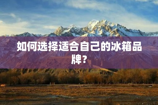 如何选择适合自己的冰箱品牌？
