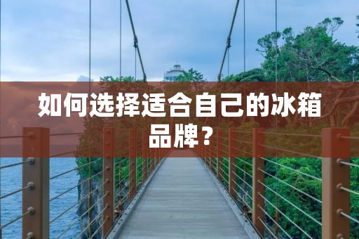 如何选择适合自己的冰箱品牌？