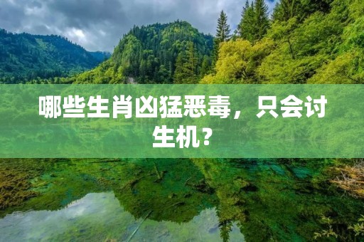 哪些生肖凶猛恶毒，只会讨生机？