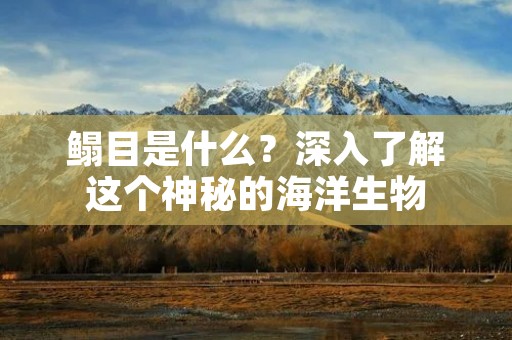 鳎目是什么?深入了解这个神秘的海洋生物