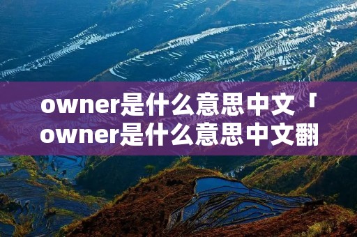 owner是什么意思中文「owner是什么意思中文翻译」