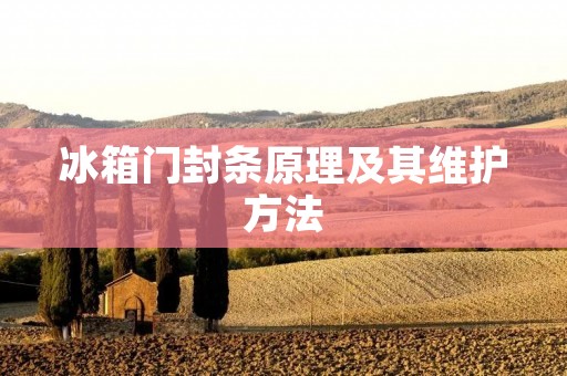 冰箱门封条原理及其维护方法 冰箱门封条原理及其维护方法