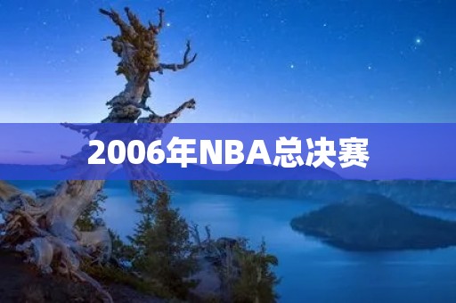 2006年NBA总决赛：热火逆袭夺冠