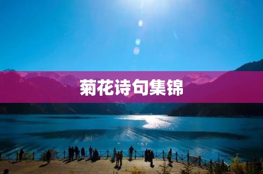 菊花诗句集锦