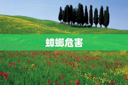 蟑螂危害:令人惊恐的小强 蟑螂危害:令人惊恐的小强