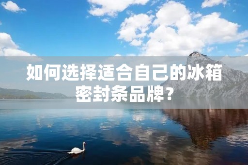 如何选择适合自己的冰箱密封条品牌？