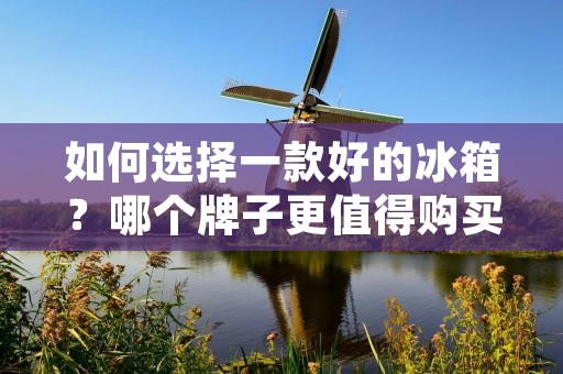 如何选择一款好的冰箱？哪个牌子更值得购买？