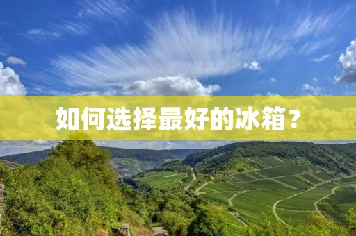 如何选择最好的冰箱? 如何选择最好的冰箱?