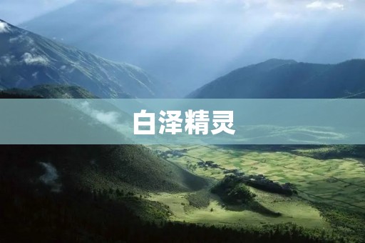 白泽精灵:神秘的森林守护者 白泽精灵:神秘的森林守护者