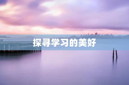 探寻学习的美好:关于学习的诗句