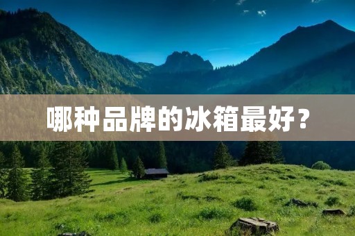 哪种品牌的冰箱最好? 哪种品牌的冰箱最好?