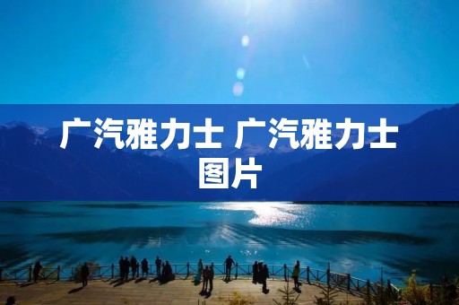 广汽雅力士 广汽雅力士图片