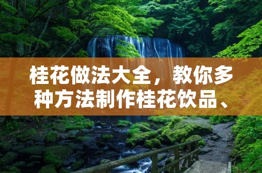 桂花做法大全,教你多种方法制作桂花饮品、糕点、甜品等美食 桂花做法大全,教你多种方法制作桂花饮品、糕点、甜品等美食