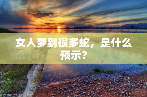 女人梦到很多蛇,是什么预示?