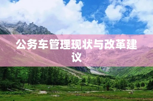 公务车管理现状与改革建议
