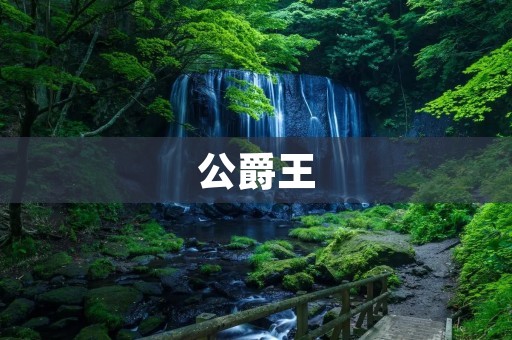 公爵王:中世纪欧洲贵族身份的象征 公爵王:中世纪欧洲贵族身份的象征