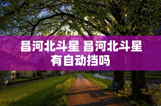 昌河北斗星 昌河北斗星有自动挡吗