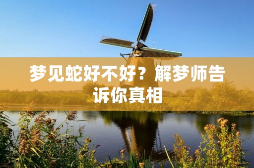 梦见蛇好不好?解梦师告诉你真相