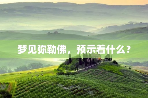 梦见弥勒佛,预示着什么?