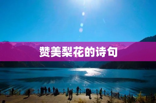 赞美梨花的诗句