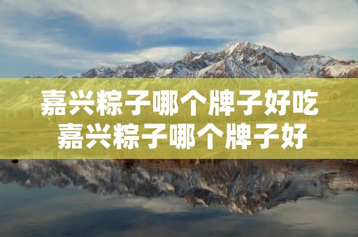 嘉兴粽子哪个牌子好吃 嘉兴粽子哪个牌子好吃又便宜