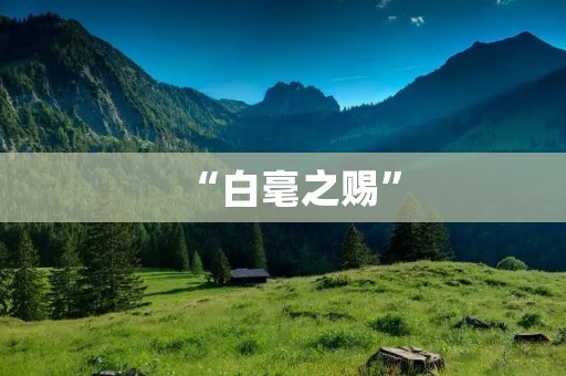 “白毫之赐”:茶叶中的珍品 “白毫之赐”:茶叶中的珍品