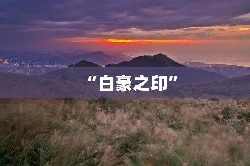 “白豪之印”：一道独特的文化符号