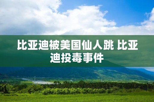 比亚迪被美国仙人跳 比亚迪投毒事件 比亚迪被美国仙人跳 比亚迪投毒事件