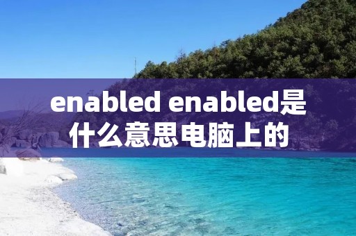 enabled enabled是什么意思电脑上的