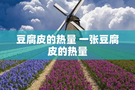 豆腐皮的热量 一张豆腐皮的热量
