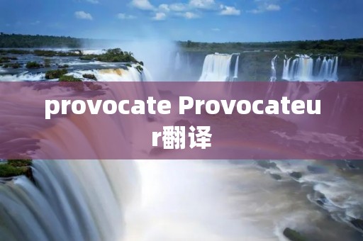 provocate Provocateur翻译