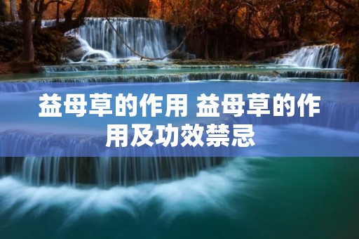 益母草的作用 益母草的作用及功效禁忌