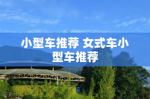 小型车推荐 女式车小型车推荐