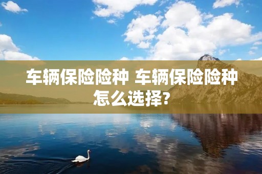 车辆保险险种 车辆保险险种怎么选择?