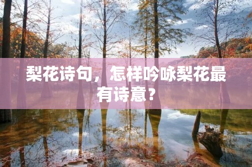 梨花诗句，怎样吟咏梨花最有诗意？