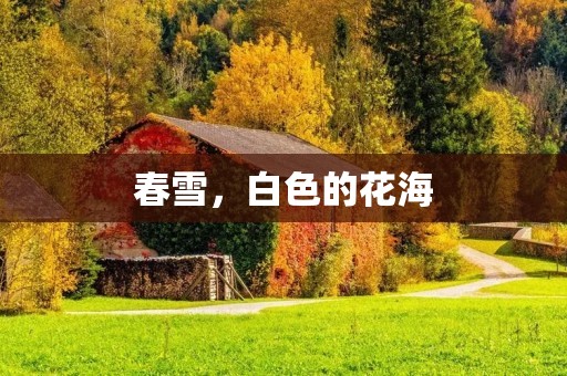 春雪，白色的花海