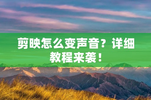 剪映怎么变声音？详细教程来袭！
