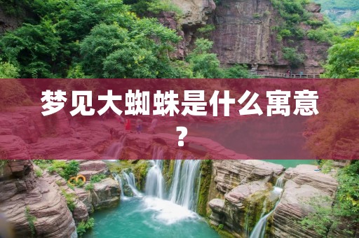 梦见大蜘蛛是什么寓意?