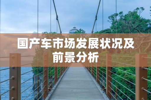国产车市场发展状况及前景分析 国产车市场发展状况及前景分析