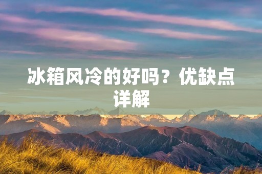 冰箱风冷的好吗？优缺点详解