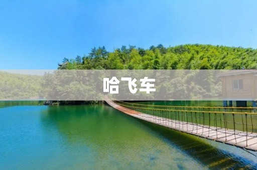 哈飞车:中国汽车行业的一段历史 哈飞车:中国汽车行业的一段历史