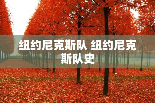 纽约尼克斯队 纽约尼克斯队史